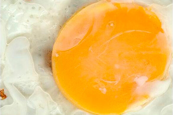 Jorge Negrotti: Del ostracismo al freakismo creativo