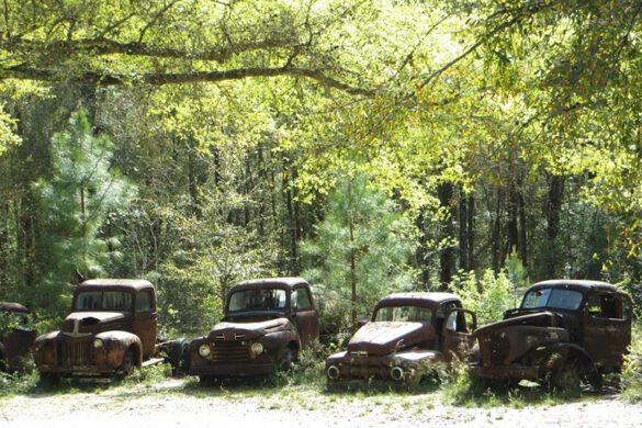 Cementerio de furgonetas Ford
