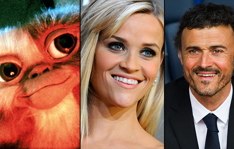 Absurda suma de parecidos (IV)