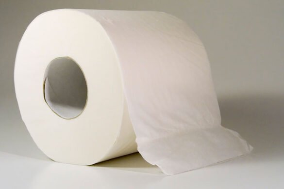 Papel higiénico: accesorio vital para la Humanidad