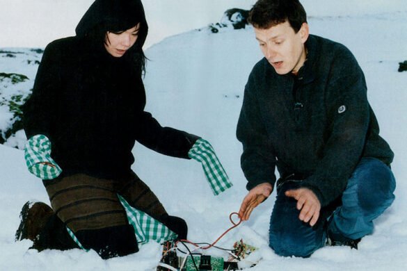 ‘Declare Independence’, reencuentro entre Björk y Gondry