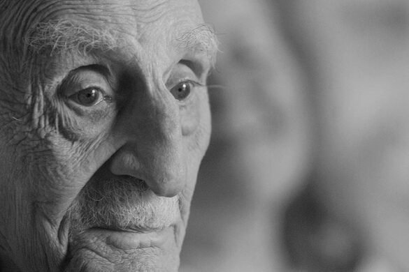 Francisco Ayala: Historia, literatura y grandeza