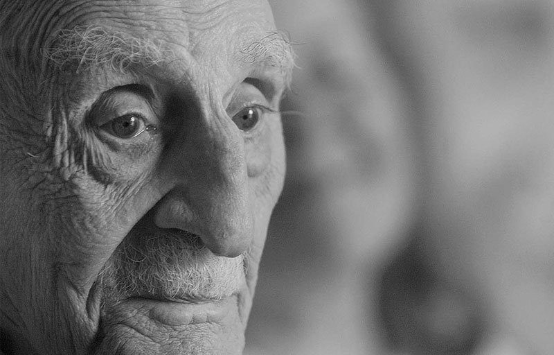 Francisco Ayala: Historia, literatura y grandeza