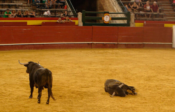 Una divertida descontextualización de la fiesta nacional