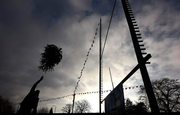 Keele Christmas Tree Farm: concurso de lanzamiento de árboles de Navidad