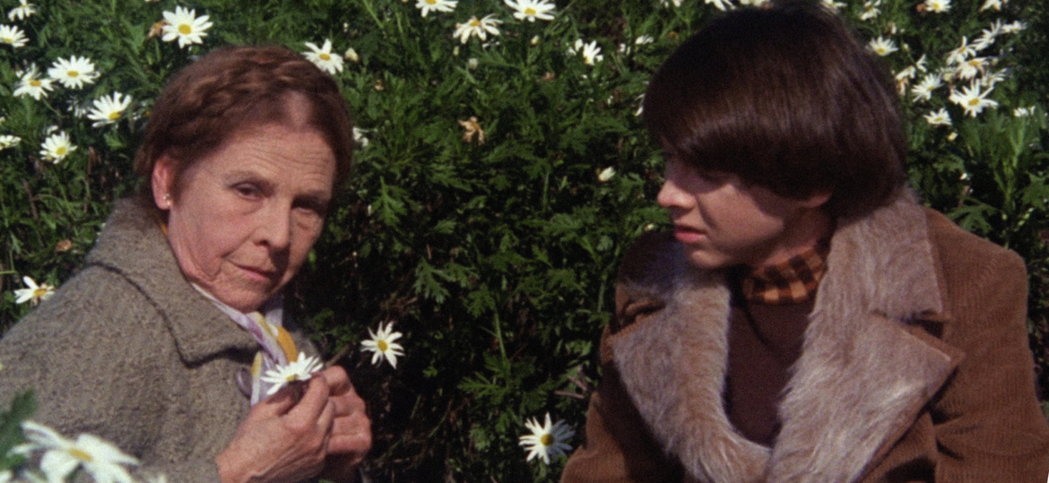 Una secuencia al azar (VI): ‘Harold y Maude’, de Hal Ashby