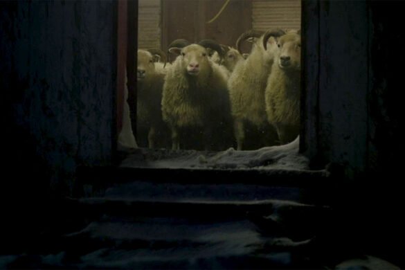 Review ‘Lamb (Dýrið)’, de Valdimar Jóhannsson